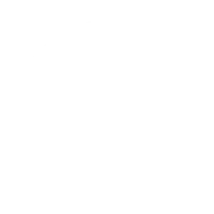 Apex Full Service Icon