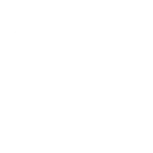 Apex Money Back Icon