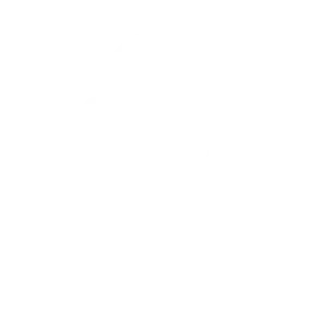 Apex Professional Icon